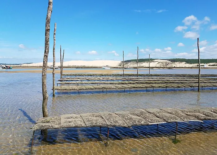 Lejlighed Bel T2 Pres De La - Ideal Pour 4 Personnes - Fr-1-474-272 Arcachon